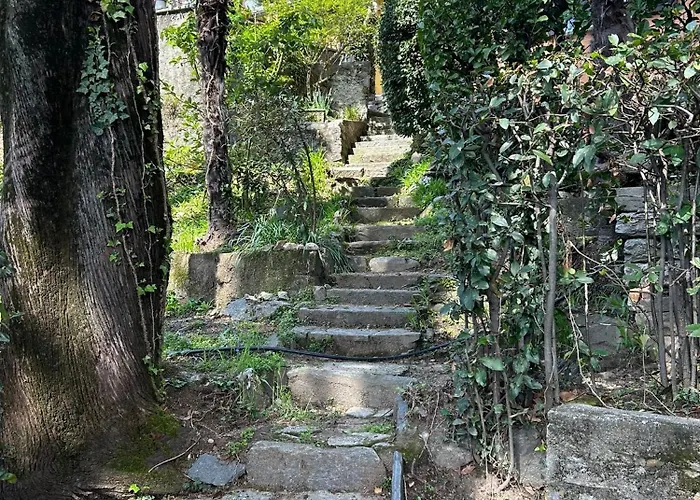 Olanda Πανδοχείο *