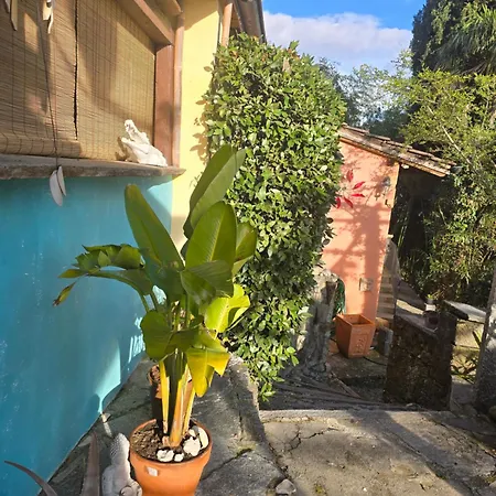 Olanda Locarno