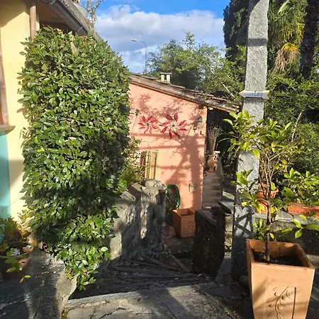 Mini-hôtel Olanda *